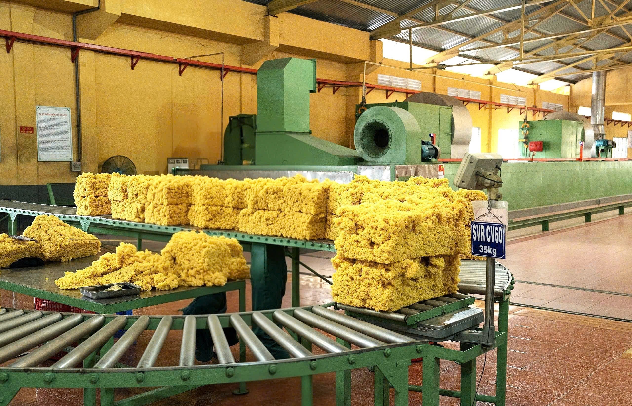 Modan International — rubber plantation